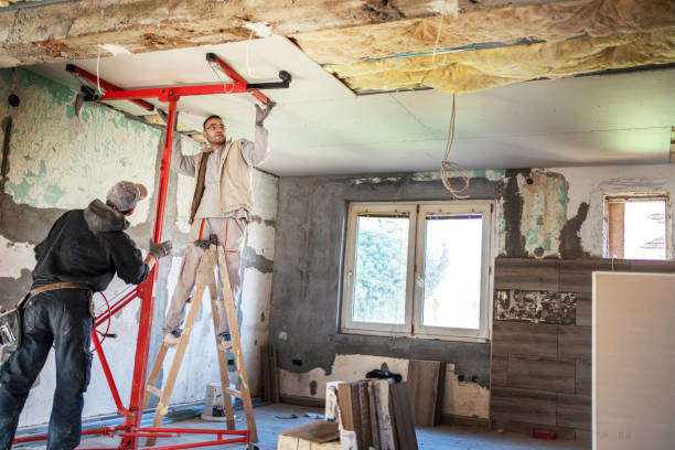 Best Geographic-Specific Insulation Services in Jonesboro, IL