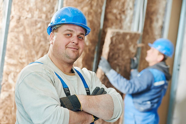 Best Insulation Maintenance and Repair in Jonesboro, IL